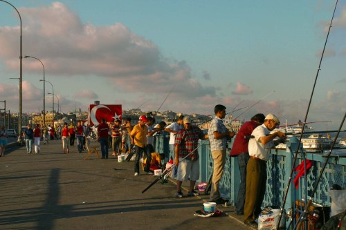 blogturkey fishing copy